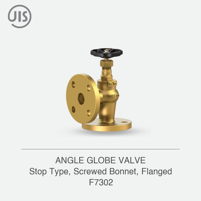 ANGLE GLOBE VALVE