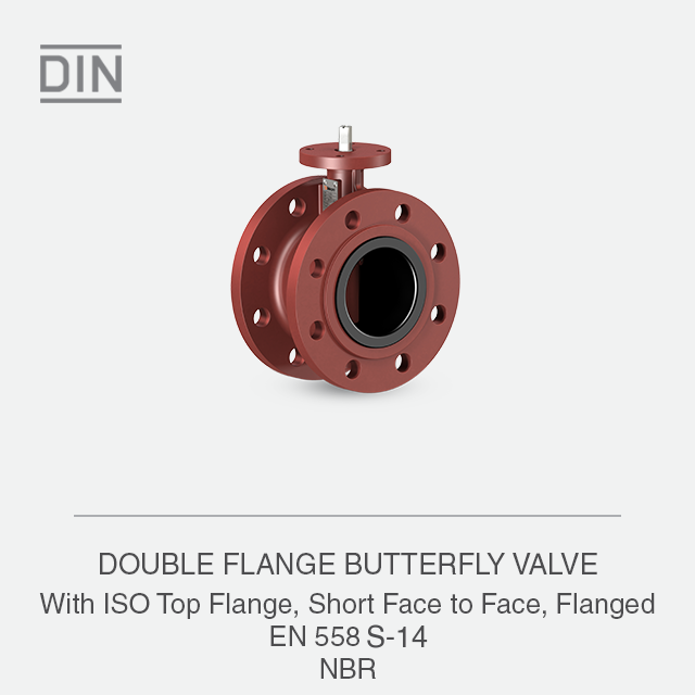 DOUBLE FLANGE BUTTERFLY VALVE