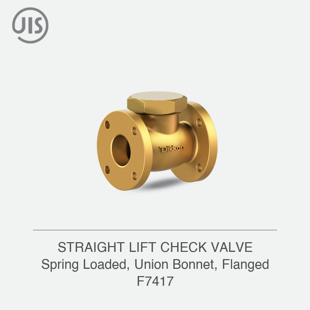 STRAIGHT LIFT CHECK VALVE