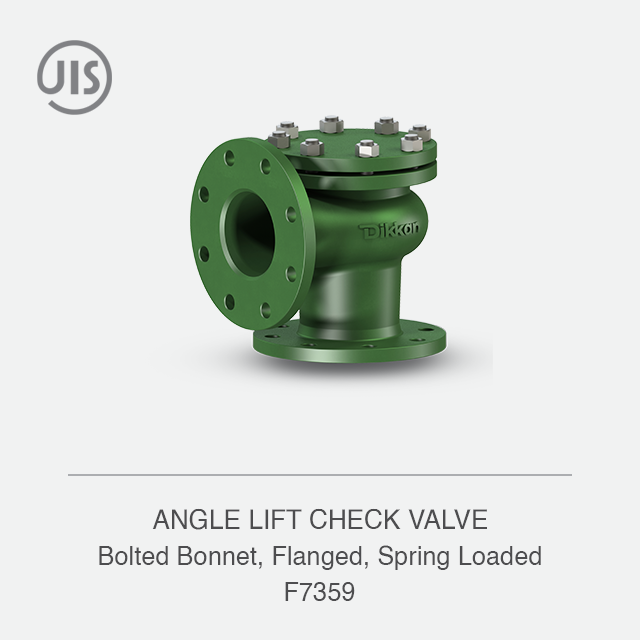 ANGLE LIFT CHECK VALVE