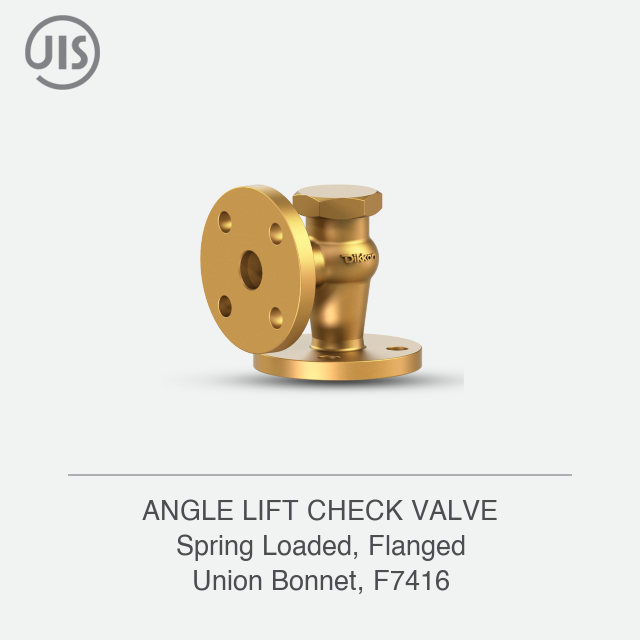 ANGLE LIFT CHECK VALVE