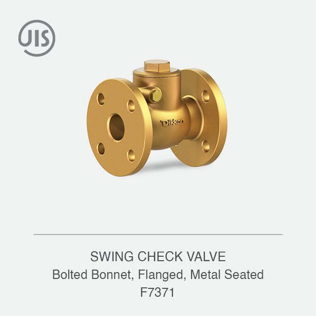 SWING CHECK VALVE
