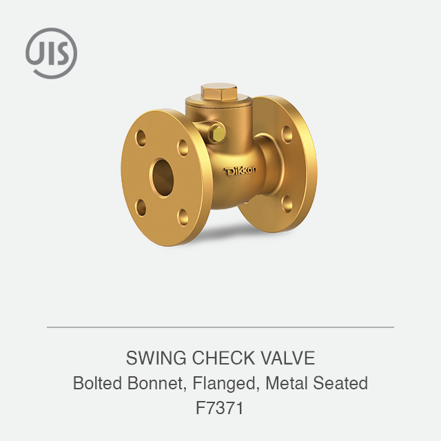 SWING CHECK VALVE