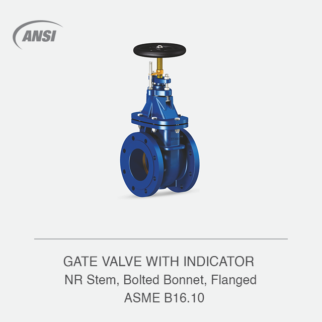 GATE VALVE WITH INDICATOR