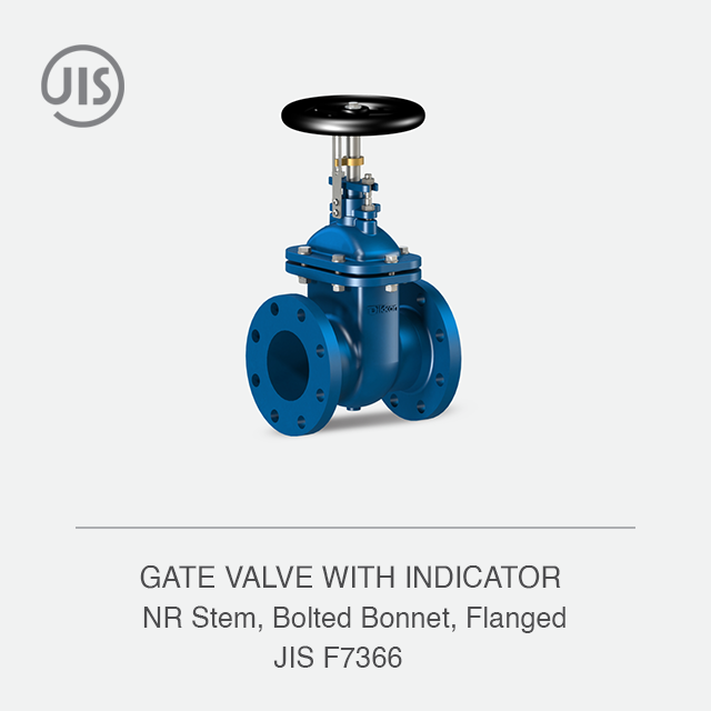 GATE VALVE WITH INDICATOR