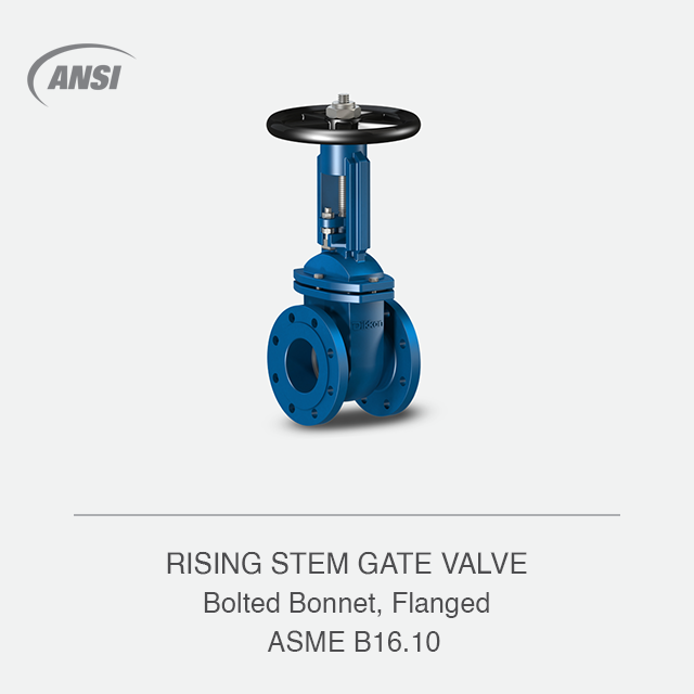 RISING STEM GATE VALVE
