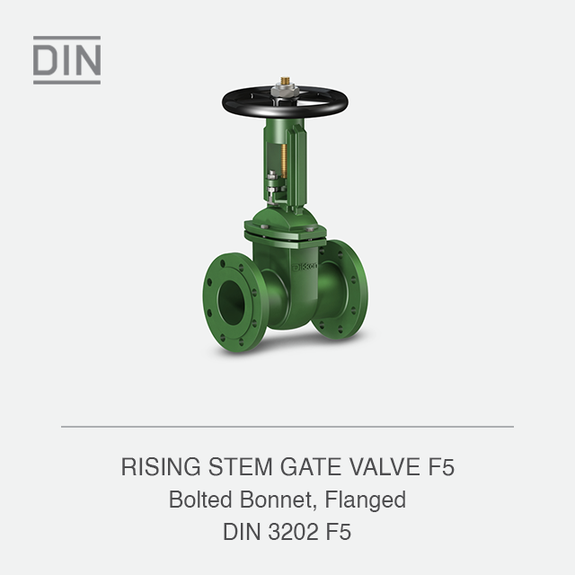 RISING STEM GATE VALVE F5
