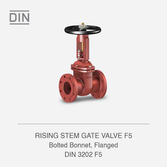 RISING STEM GATE VALVE F5