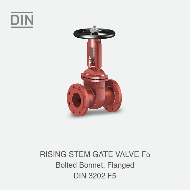 RISING STEM GATE VALVE F5