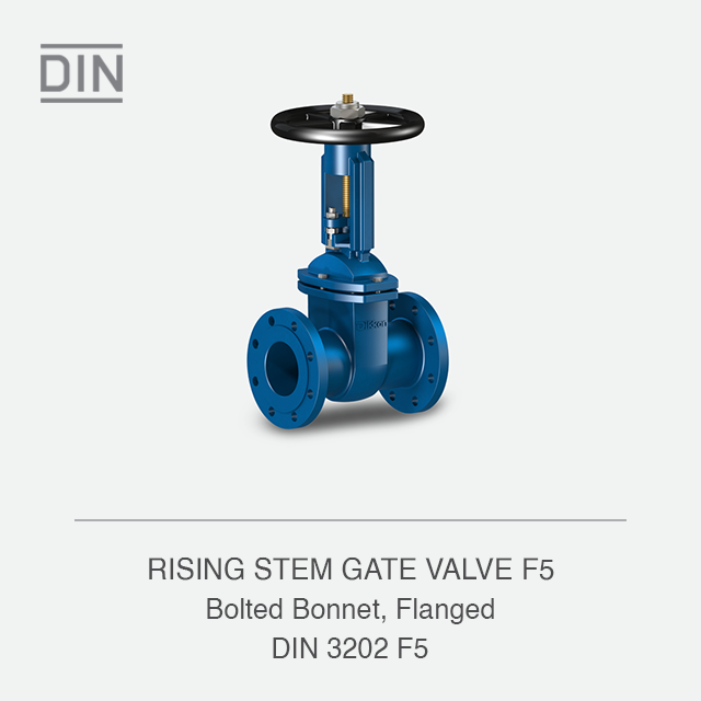 RISING STEM GATE VALVE F5