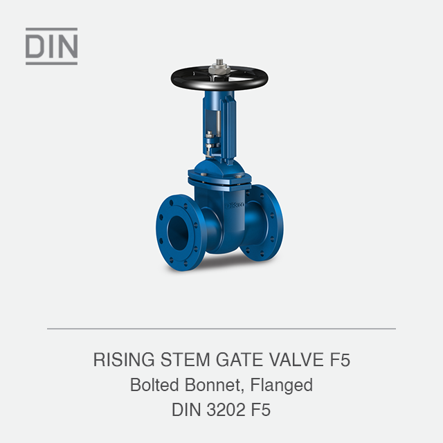 RISING STEM GATE VALVE F5