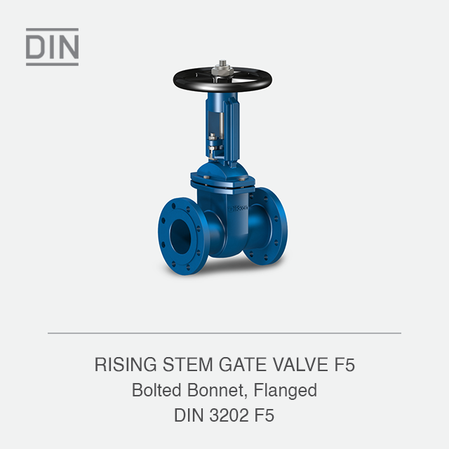 RISING STEM GATE VALVE F5