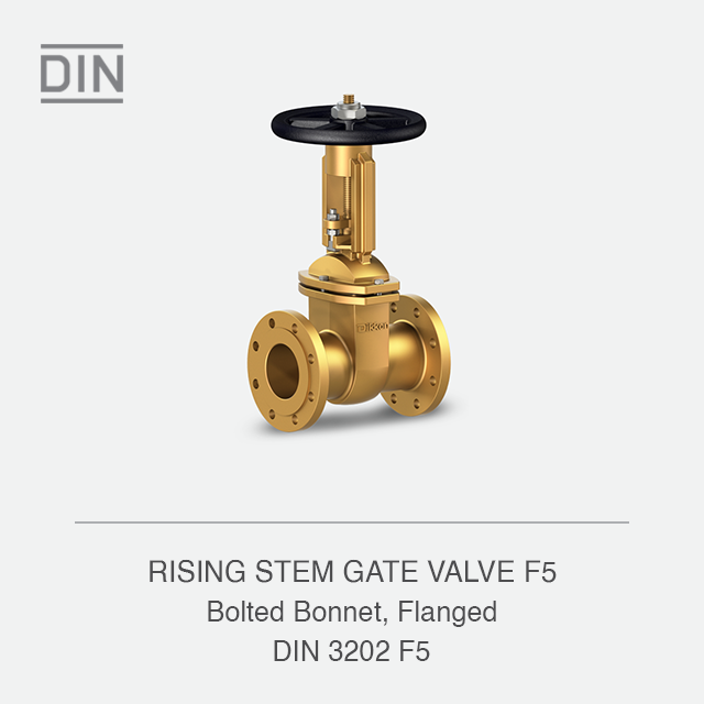 RISING STEM GATE VALVE F5