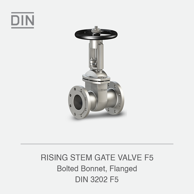 RISING STEM GATE VALVE F5