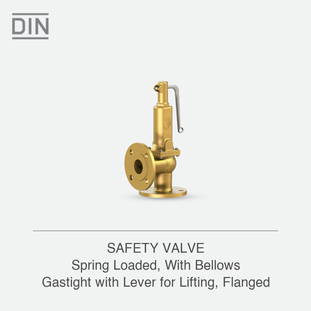 SAFETY VALVE